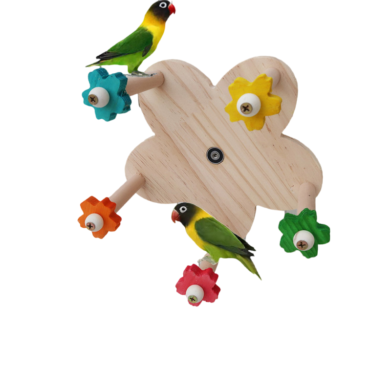 Heyoo带轴承可旋转摩天轮鹦鹉鸟玩具