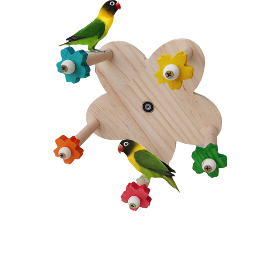 Heyoo带轴承可旋转摩天轮鹦鹉鸟玩具
